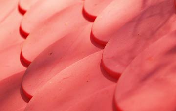 Hunsdonbury plastic roof costs